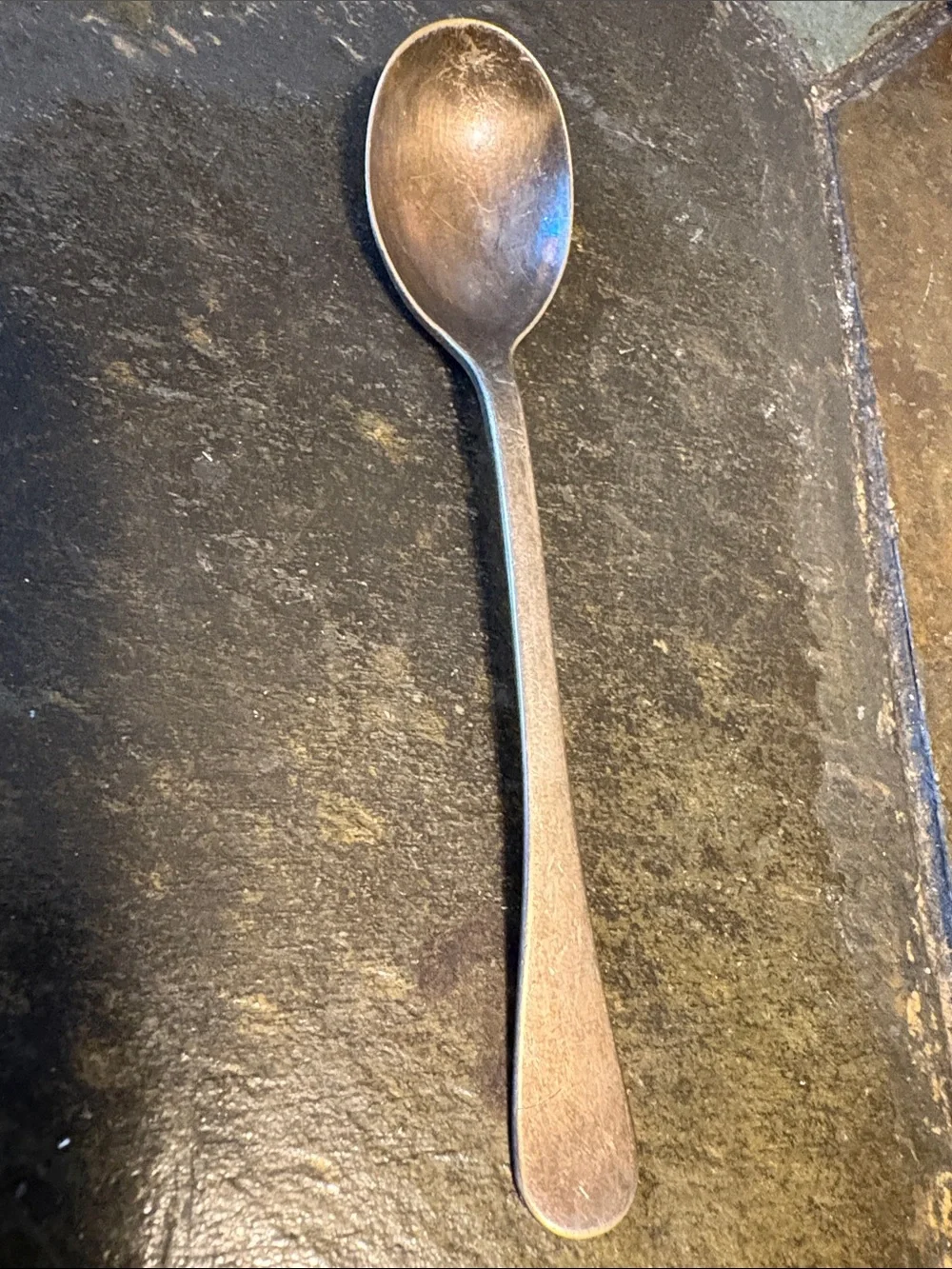 Beaded Edge Stainless Spoon and Silver Tone Spoon